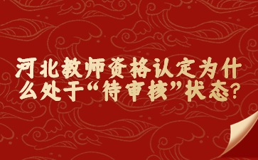 河北教师资格认定为什么处于“待审核”状态?