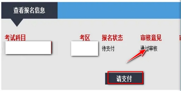 审核通过示意图