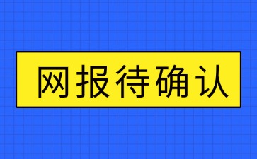 网报待确认是什么意思？